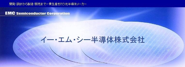 2466_イー・エム・シー半導体株式会社_ロゴ