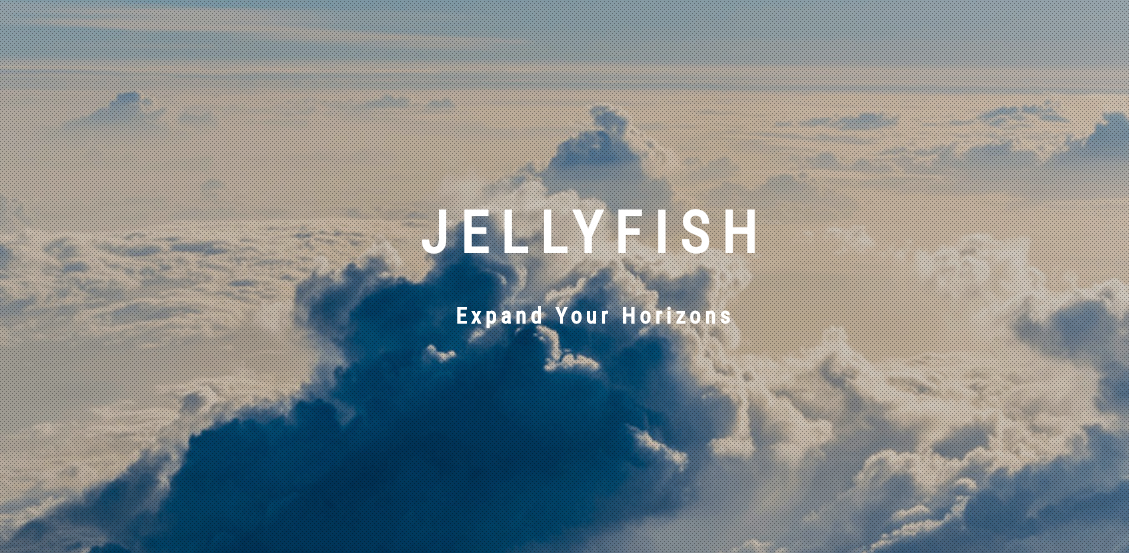 4827_株式会社JELLYFISH_メイン画像