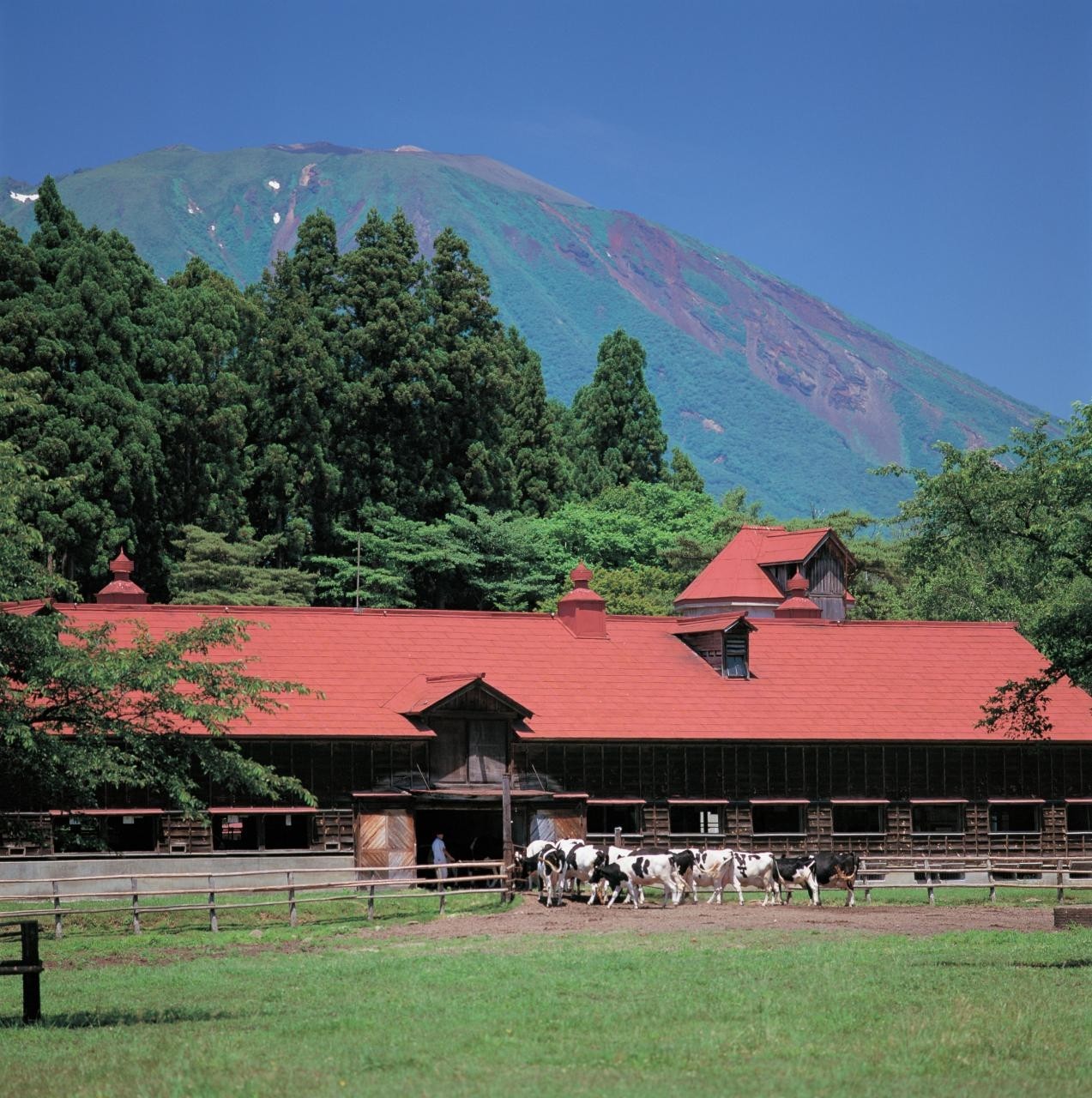 小岩井農牧株式会社 畜産飼養管理 創業1年以上 賞与年2 食事付き寮 世帯社宅有 車通勤可 諸手当 求人 転職情報のキャリコネ転職